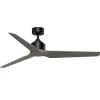 60" Melinoe Indoor / Outdoor Smart Ceiling Fan