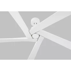 56