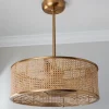 25" Transitional Sommer Ceiling Fandelier