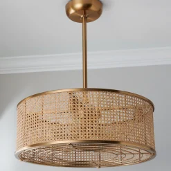 25" Transitional Sommer Ceiling Fandelier