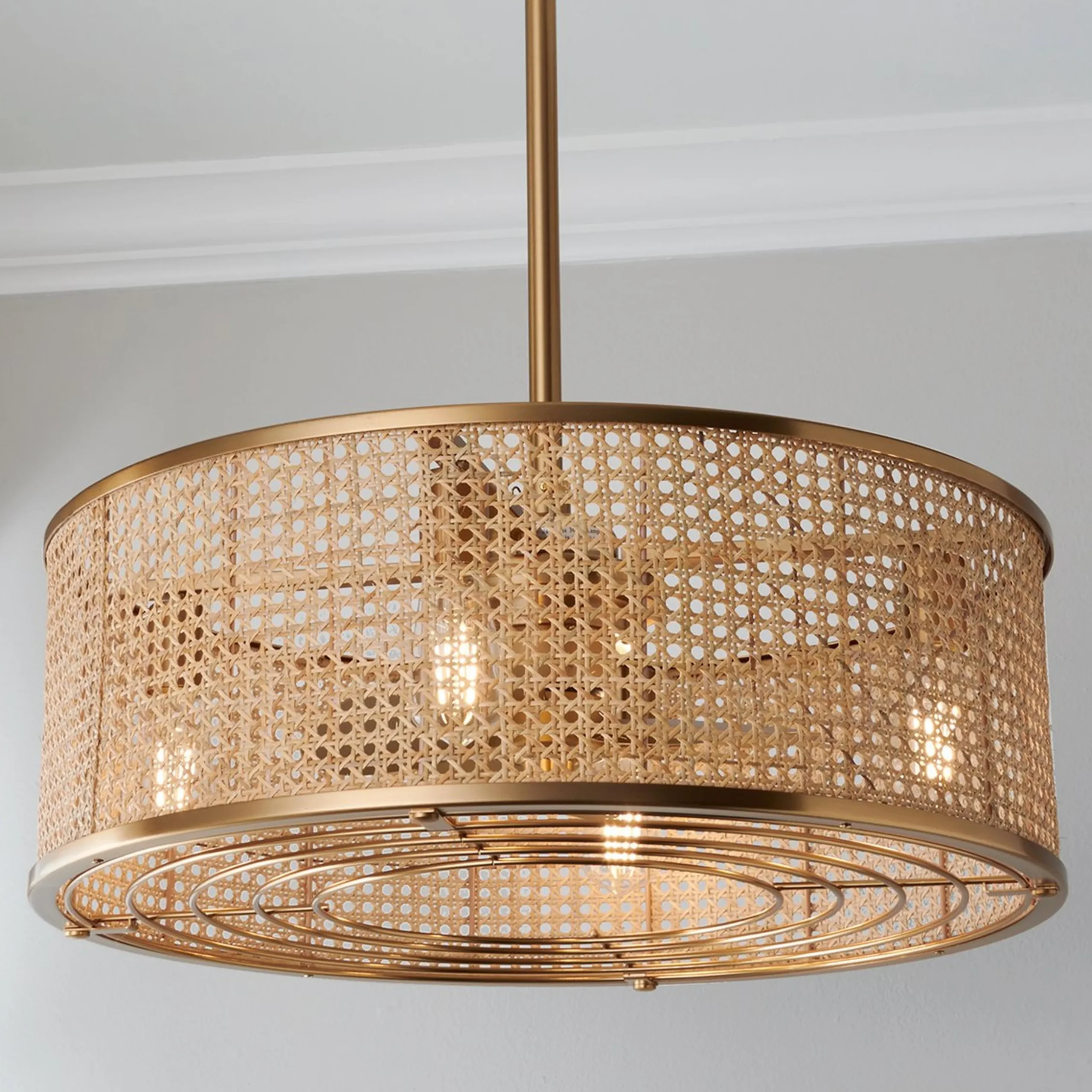 25" Transitional Sommer Ceiling Fandelier