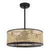25" Transitional Sommer Ceiling Fandelier