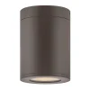 Alistair Outdoor Ceiling Light