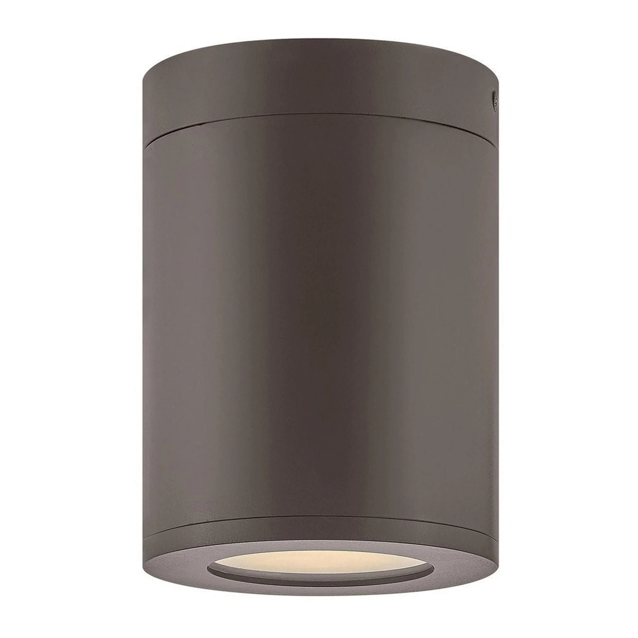 Alistair Outdoor Ceiling Light