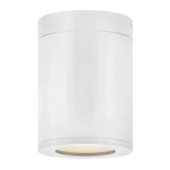 Alistair Outdoor Ceiling Light