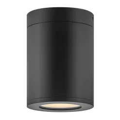 Alistair Outdoor Ceiling Light