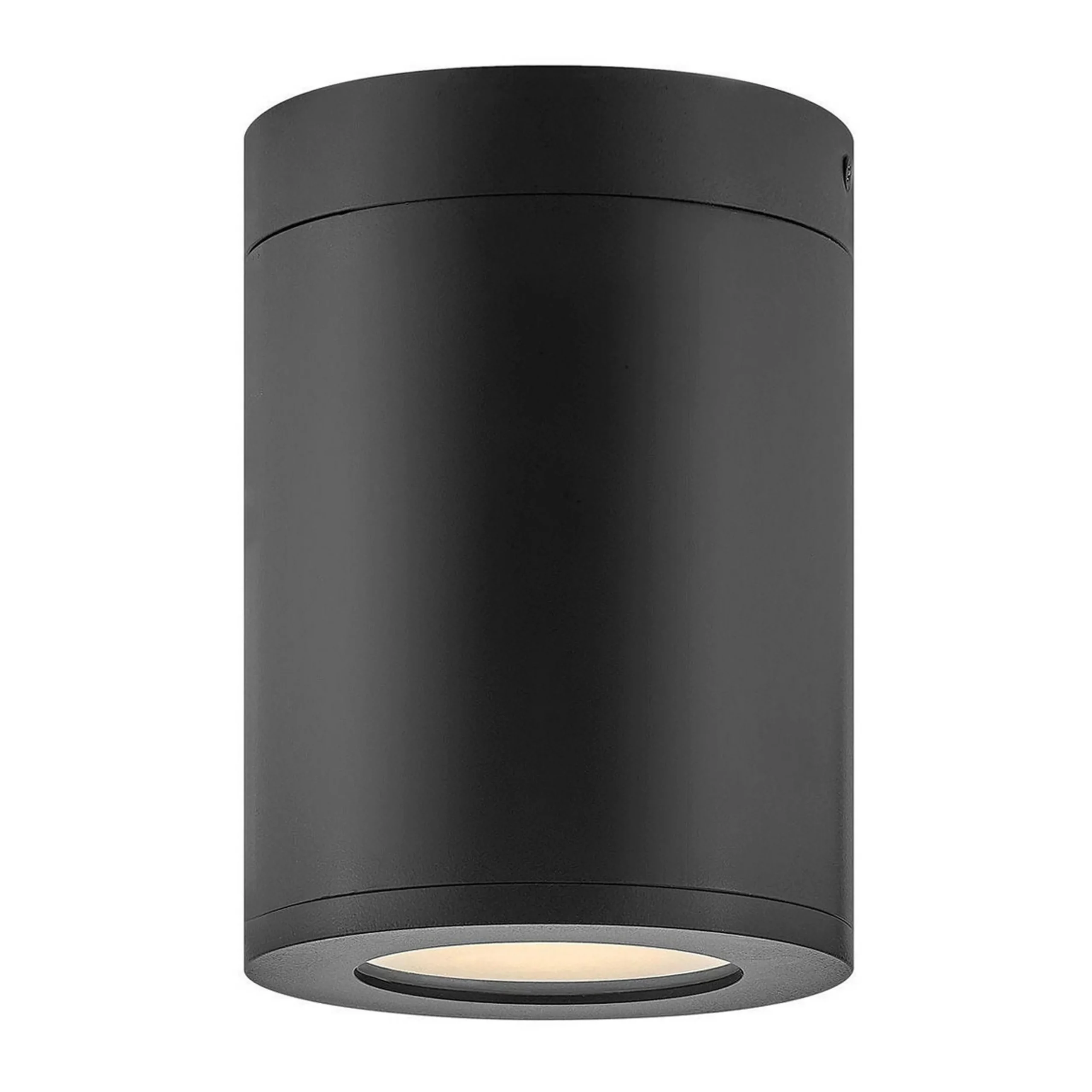 Alistair Outdoor Ceiling Light
