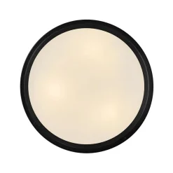 Altus Ceiling Light