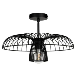 Alyssa Convertible Ceiling Light