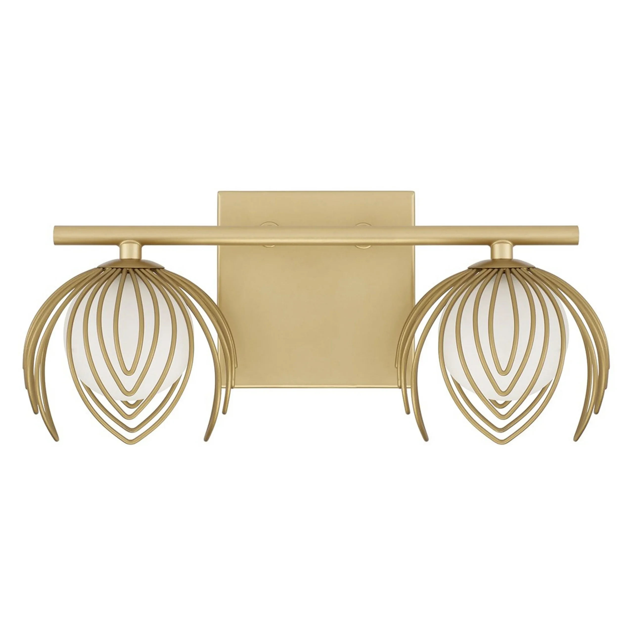 Anika Vanity Light - 2 Light