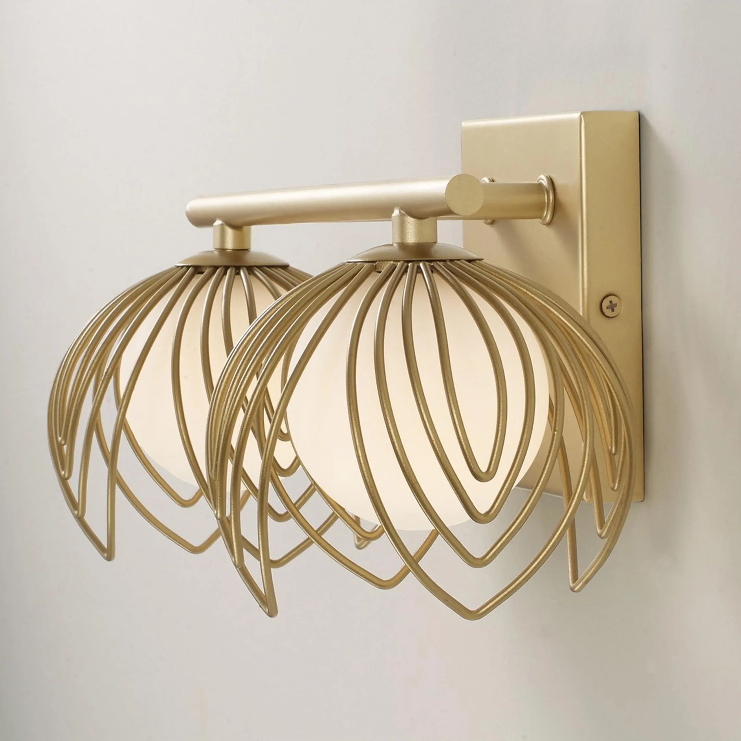 Anika Vanity Light - 2 Light
