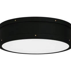 Arleigh LED Ceiling Light