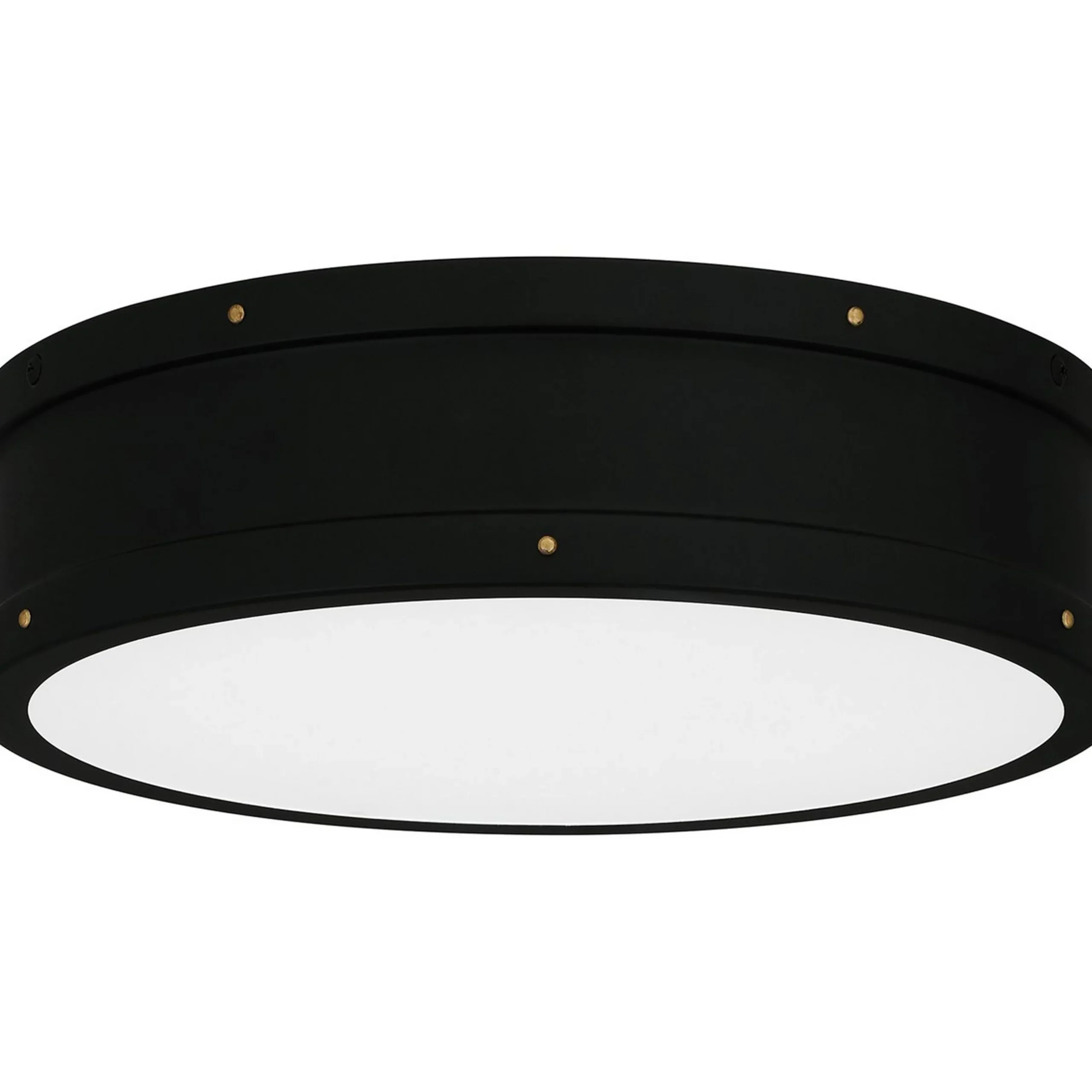 Arleigh LED Ceiling Light