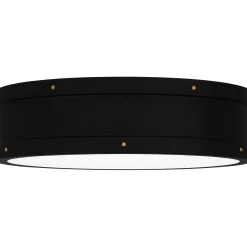 Arleigh LED Ceiling Light