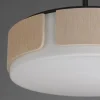 Avenir Convertible Chandelier