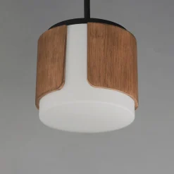 Avenir Convertible Pendant