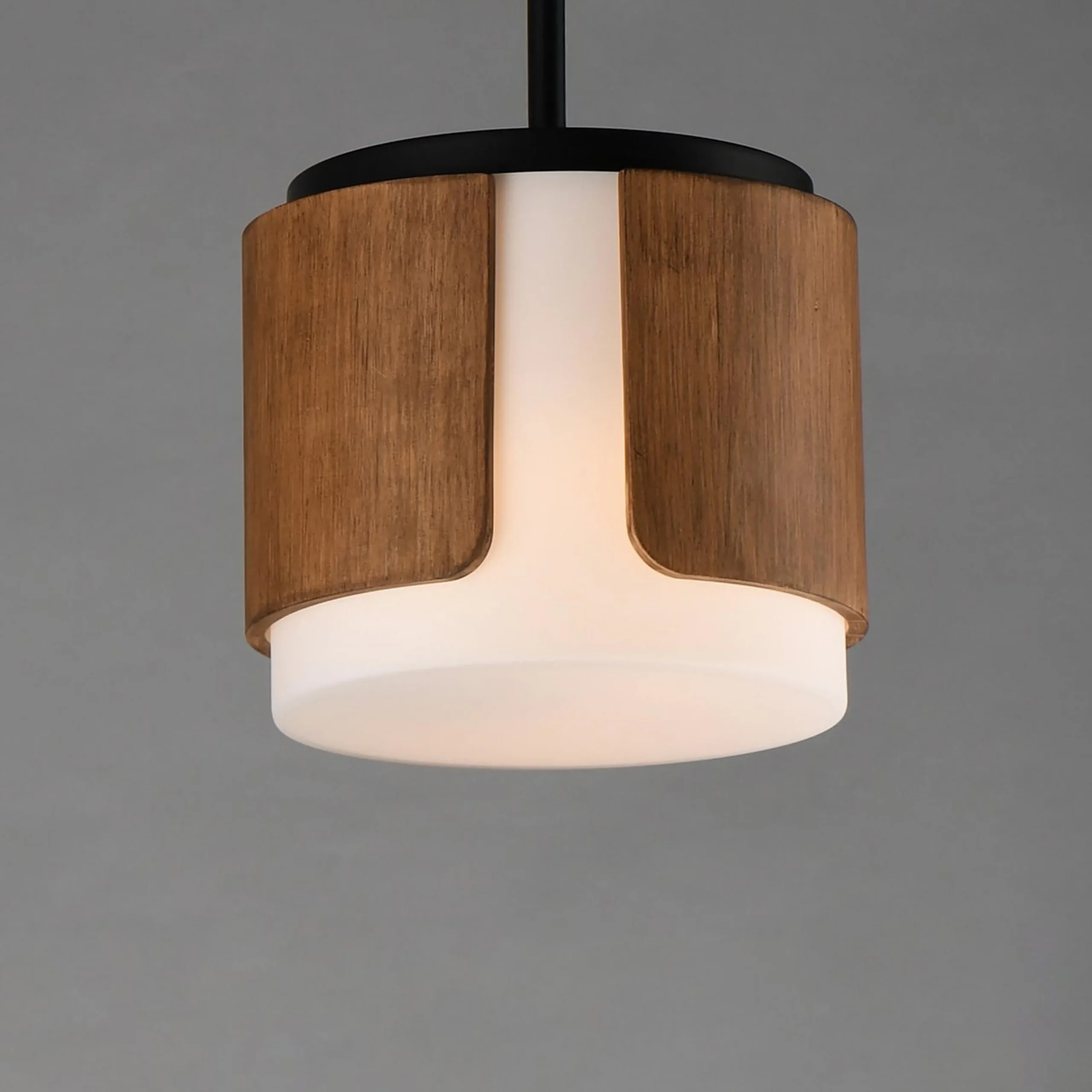 Avenir Convertible Pendant