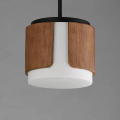 Avenir Convertible Pendant