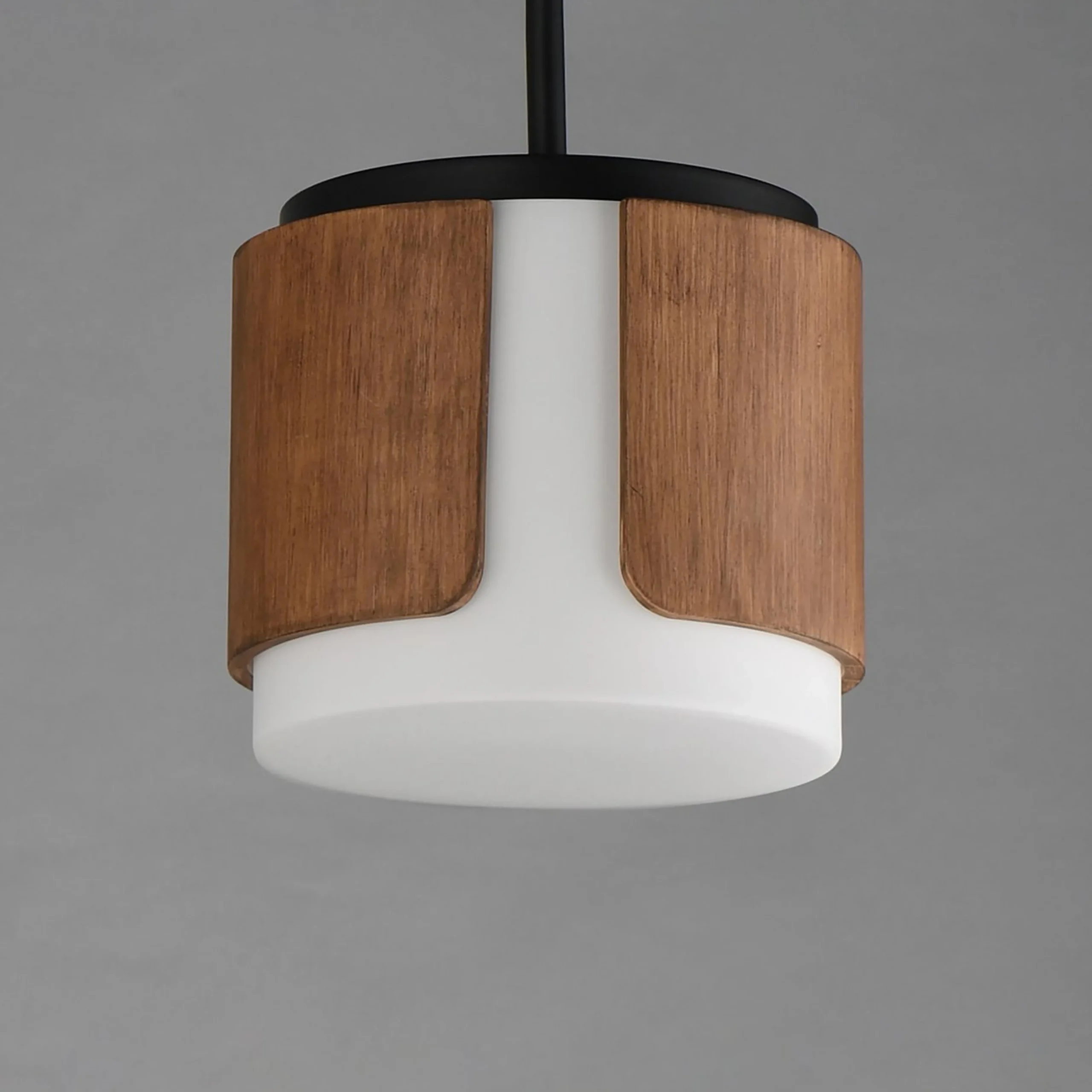 Avenir Convertible Pendant