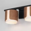 Avenir Vanity Light - 2 Light