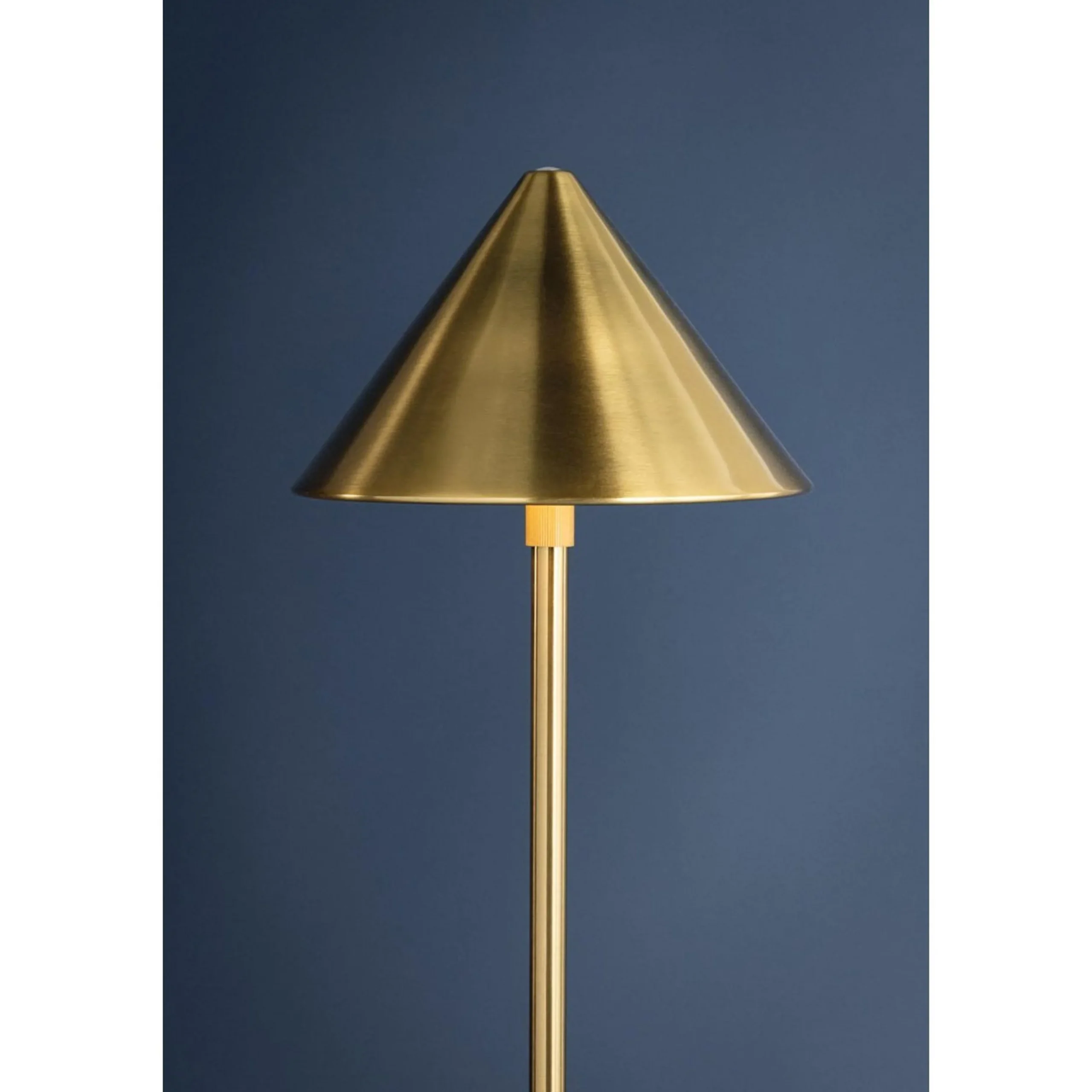 Boyer LED Cordless Rechargeable Floor Lamp