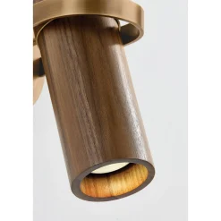 Briscoe Swing Arm Sconce