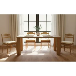 Brizo Dining Chair - Set of 2
