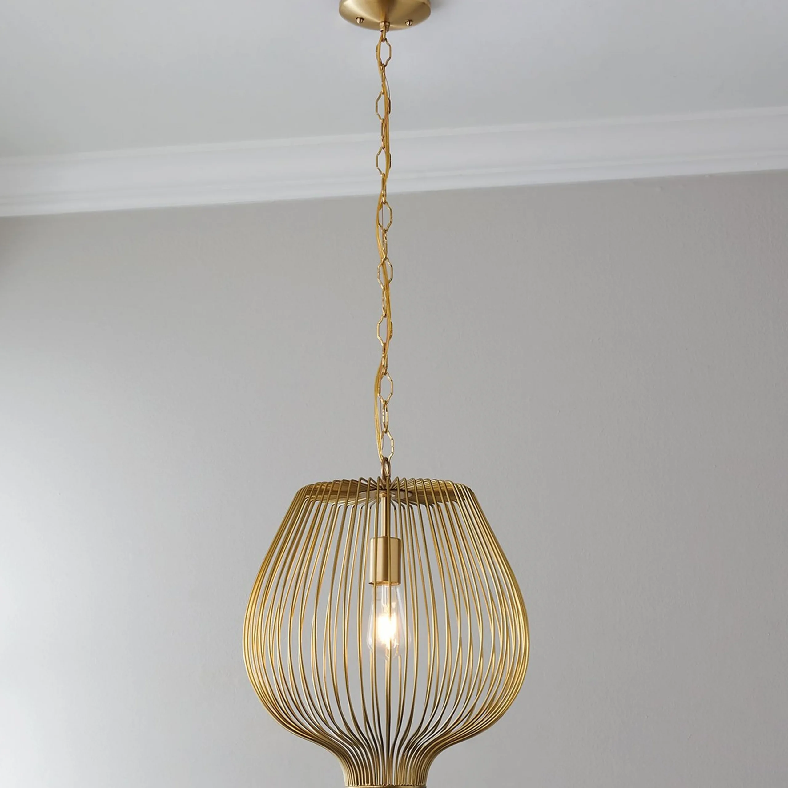 Bulbous Cage Pendant