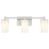 Canarsie Vanity Light - 3 Light