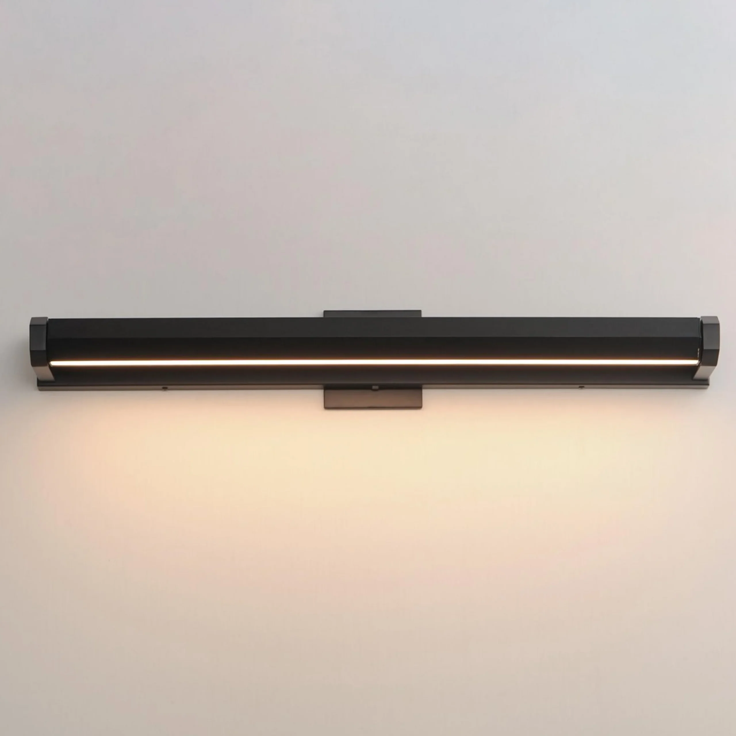 Carya LED Picture Light - Large