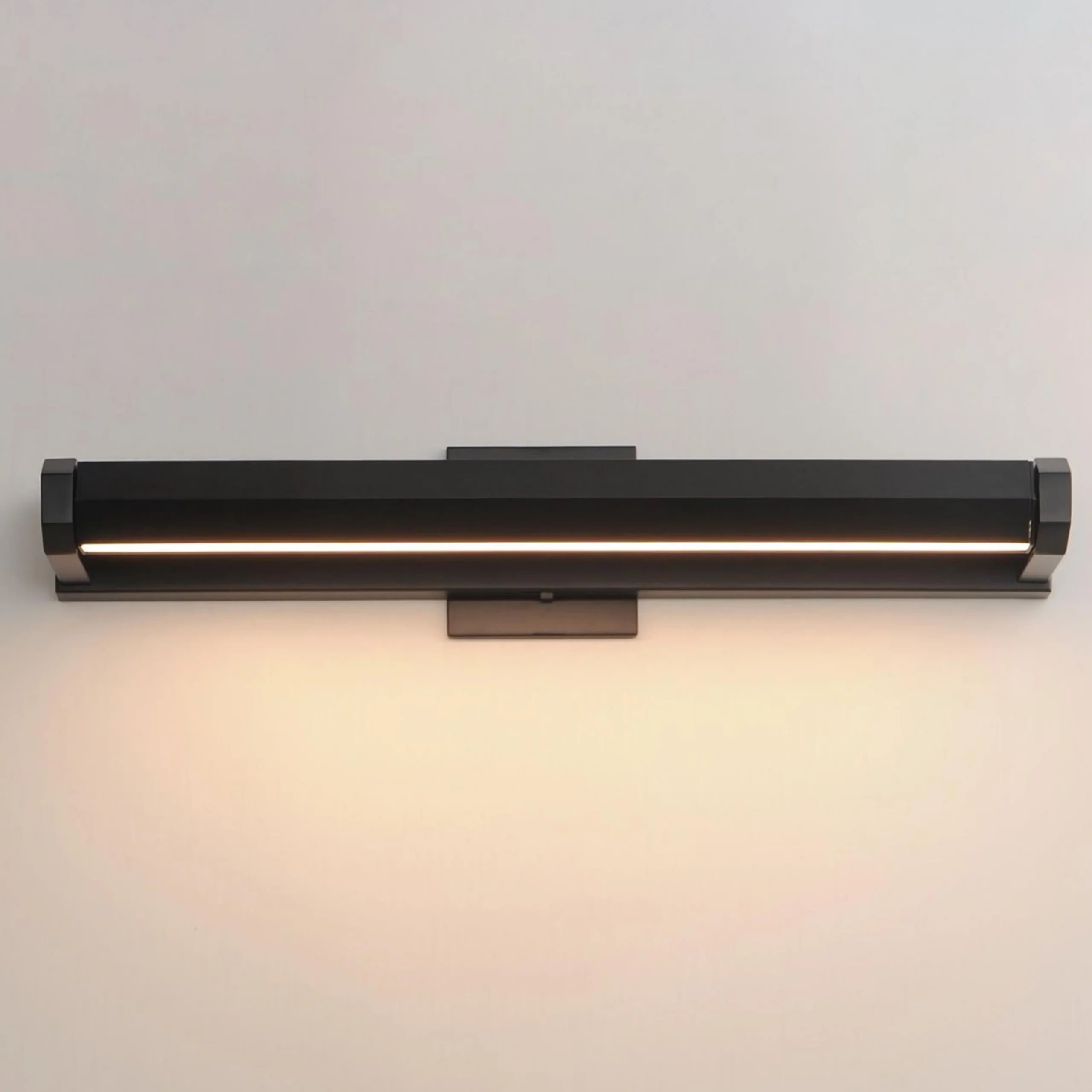 Carya LED Picture Light - Medium
