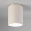 Ceramic Cylinder Ceiling Light - Matte