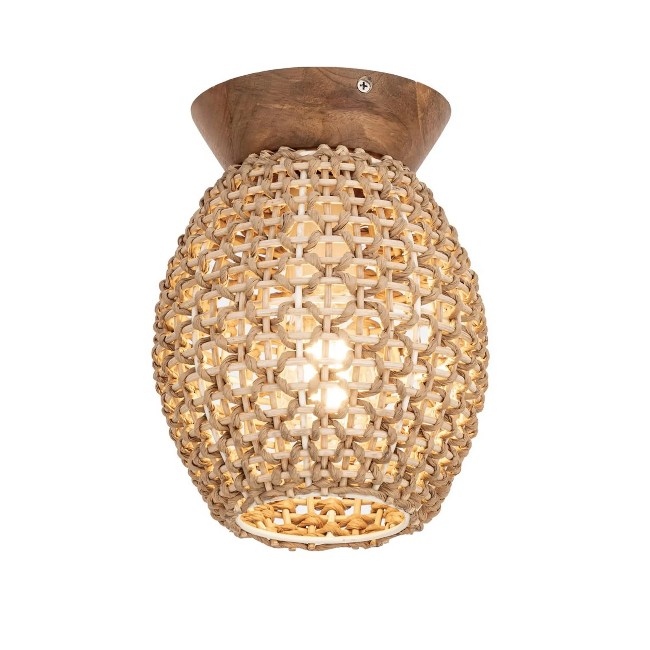 Chrysalis Ceiling Light