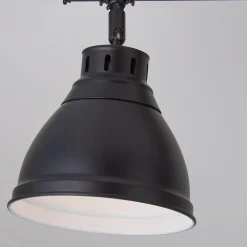Classic Dome Shade Metal Track Light