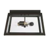 Classic Ilona Outdoor Ceiling Light