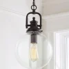 Clear Glass Globe Industrial Pendant