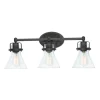 Coastal Flair Vanity Light - 3 Light
