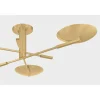 Concerted LED Ceiling Light