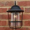 Contemporary Seeded Glass Outdoor Sconce - Small