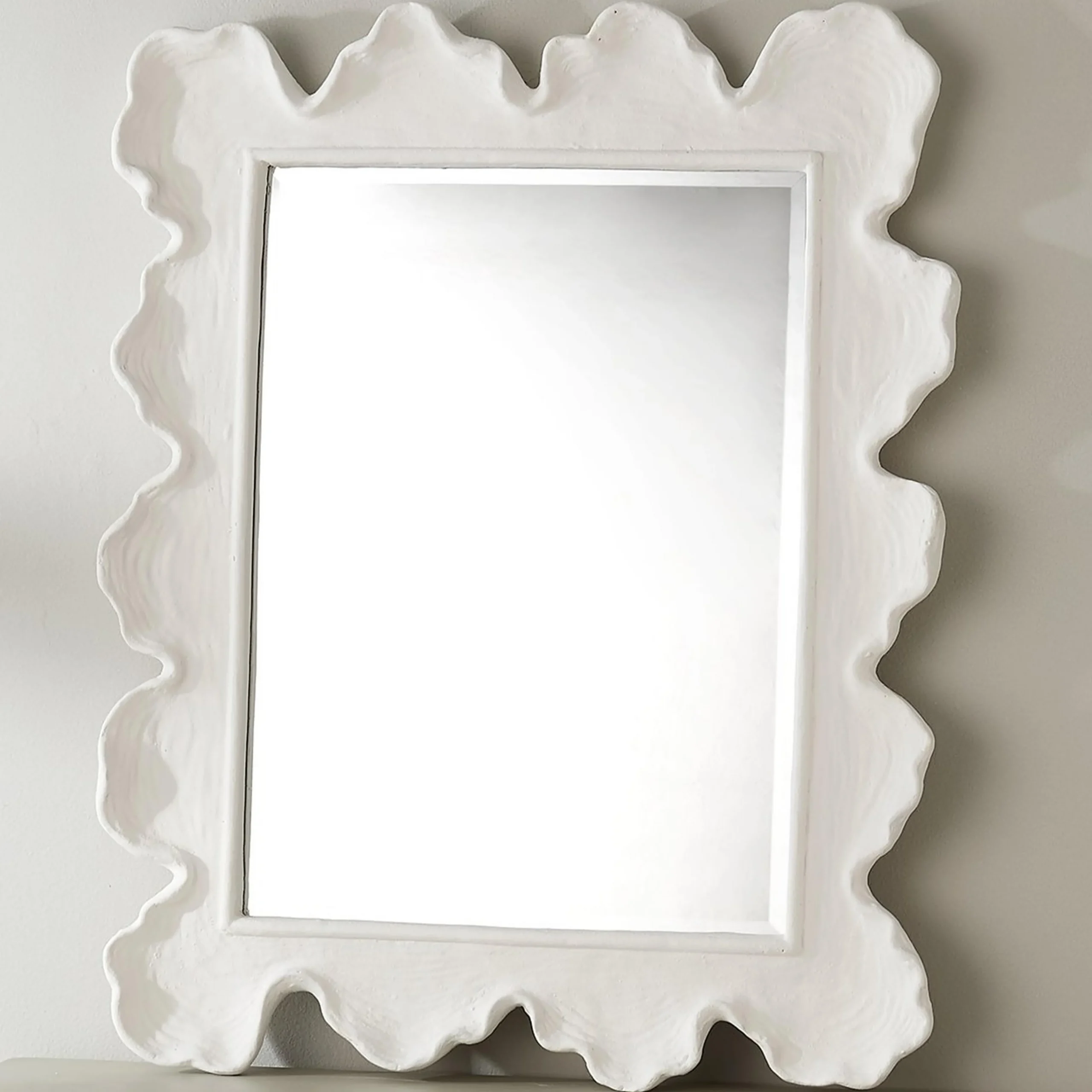 Coral Curve Mirror - Rectangle