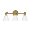 Cyrus Vanity Light - 3 Light