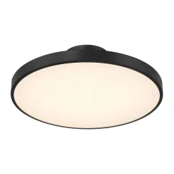 Deandra LED Ceiling Light