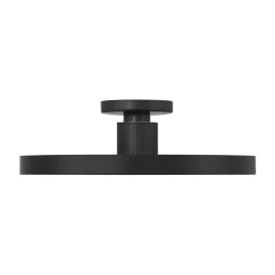 Deandra LED Ceiling Light