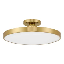 Deandra LED Ceiling Light
