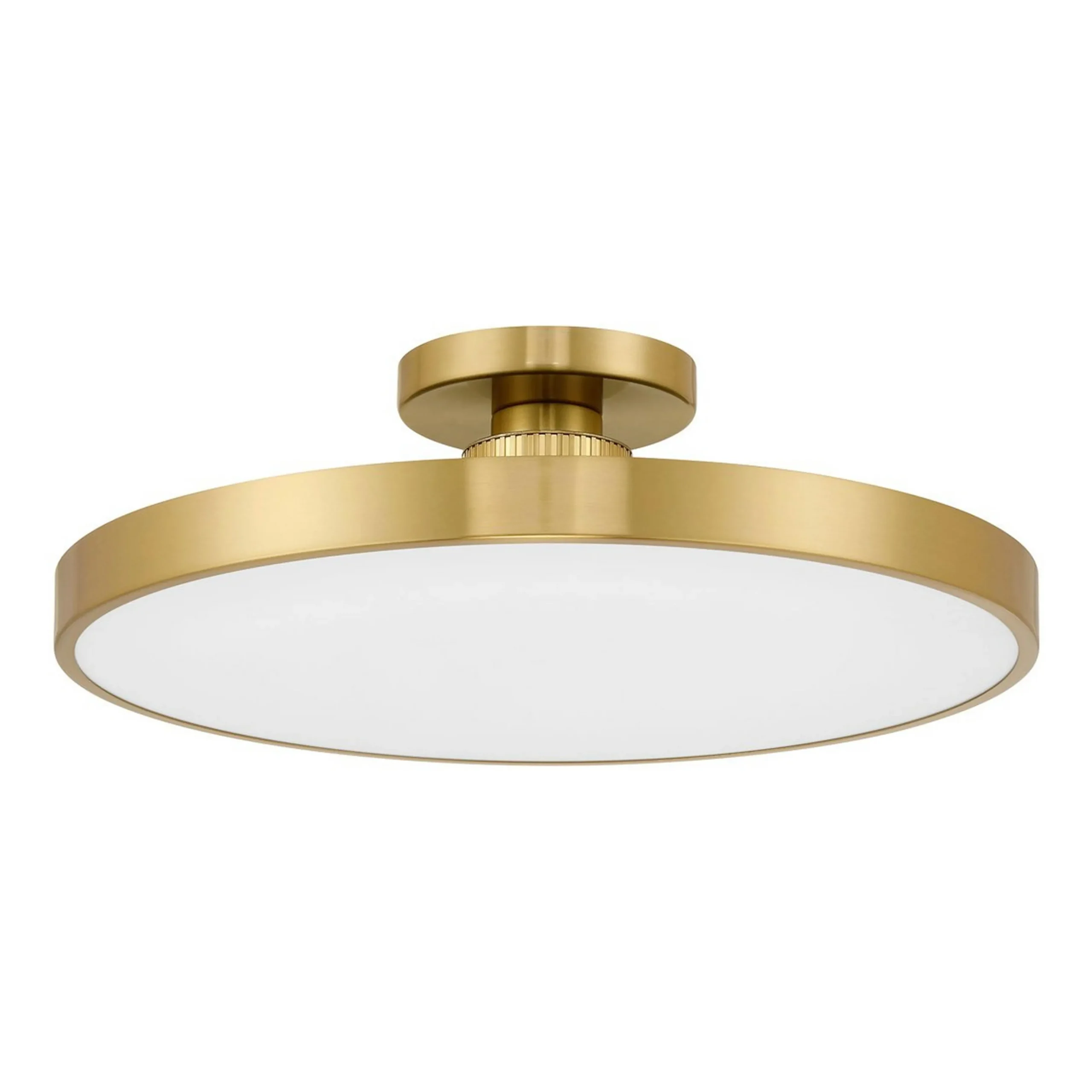 Deandra LED Ceiling Light