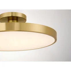 Deandra LED Ceiling Light