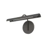Deidra LED Picture Light
