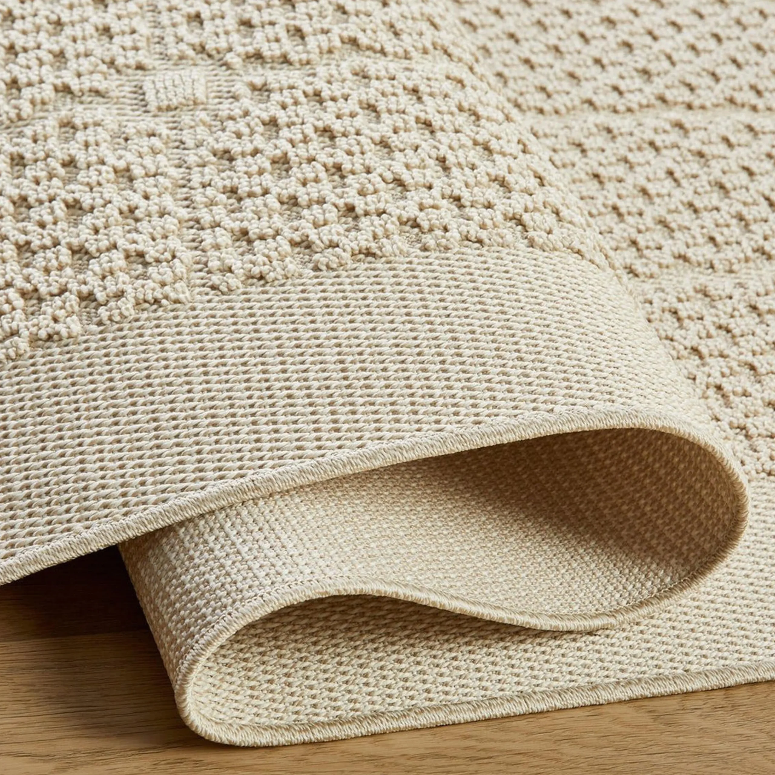 Dimilia Indoor / Outdoor Rug