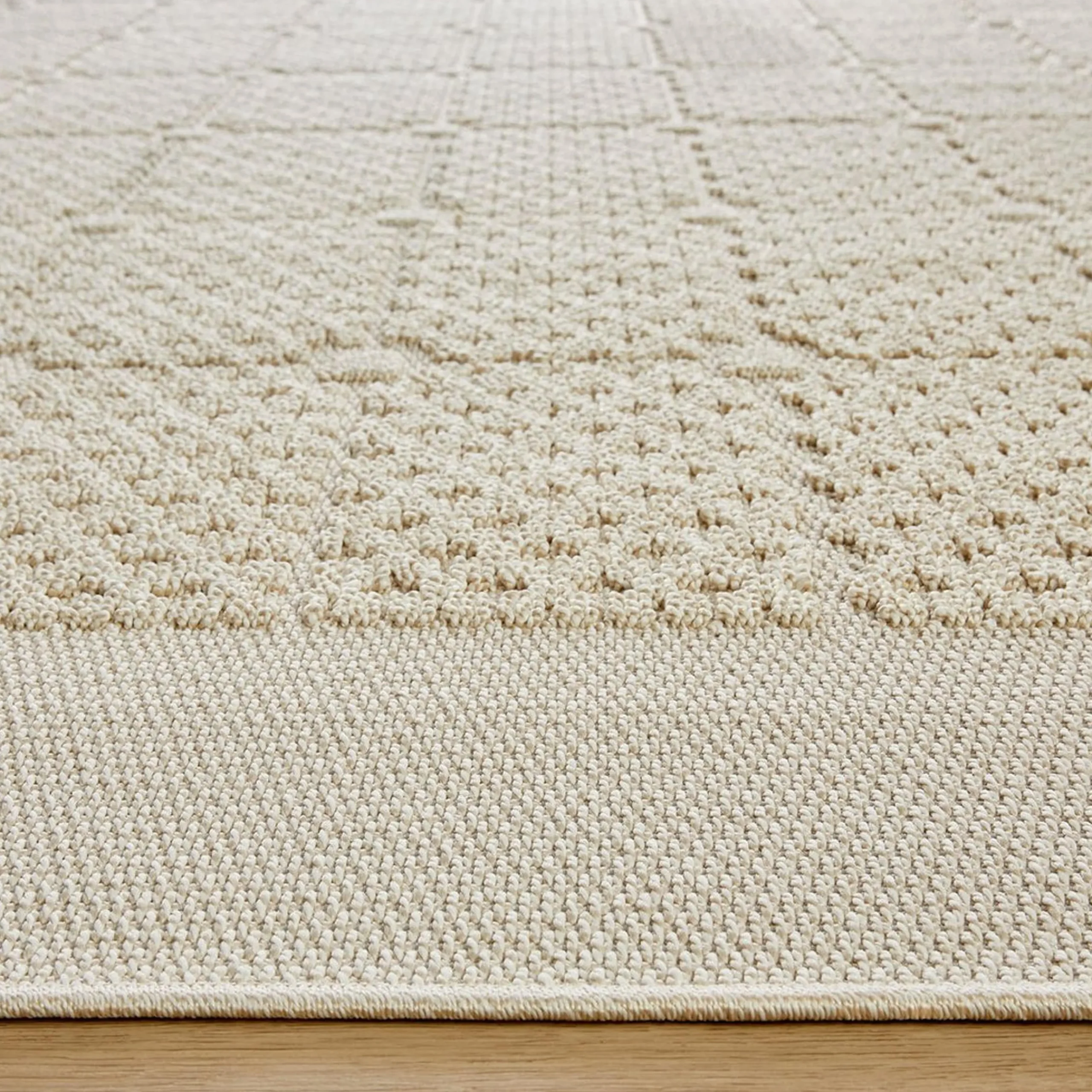 Dimilia Indoor / Outdoor Rug