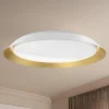 Ebert LED Ceiling Light